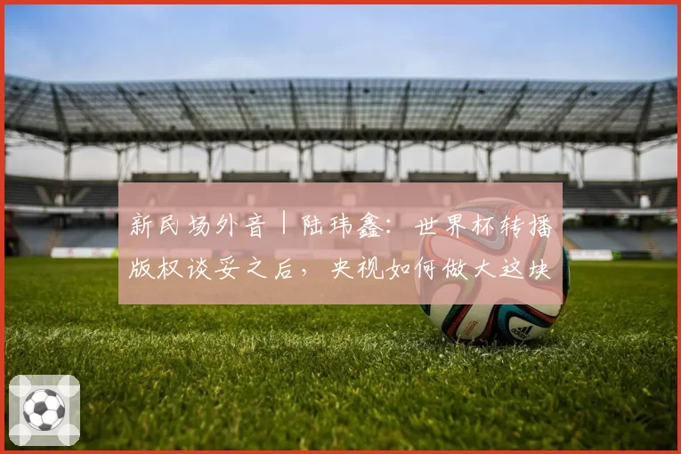新民场外音｜陆玮鑫：世界杯转播版权谈妥之后，央视如何做大这块蛋糕？