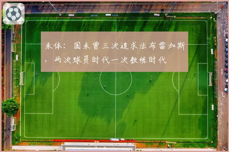 米体:国米曾三次追求法布雷加斯,两次球员时代一次教练时代