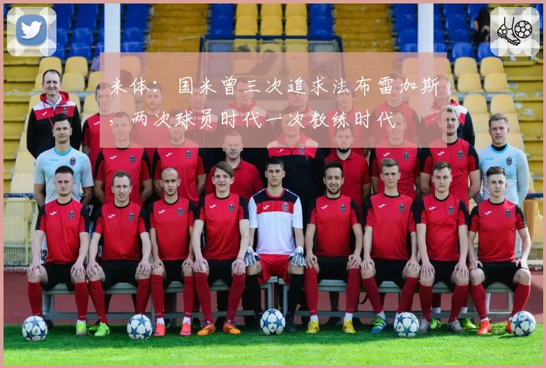 米体:国米曾三次追求法布雷加斯,两次球员时代一次教练时代