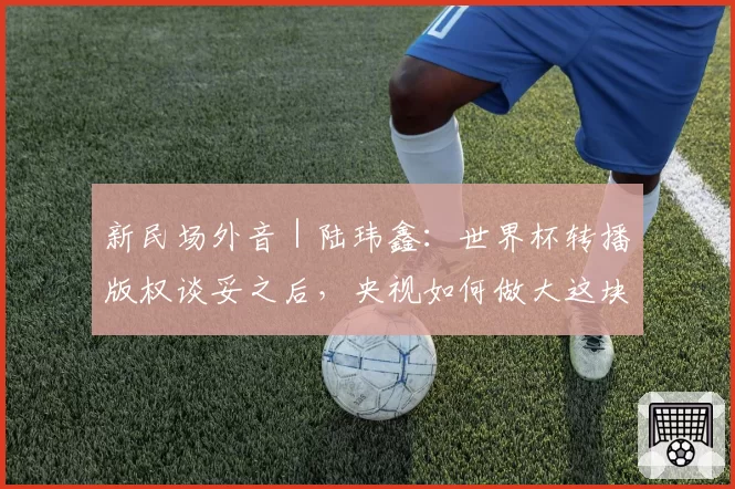 新民场外音｜陆玮鑫：世界杯转播版权谈妥之后，央视如何做大这块蛋糕？